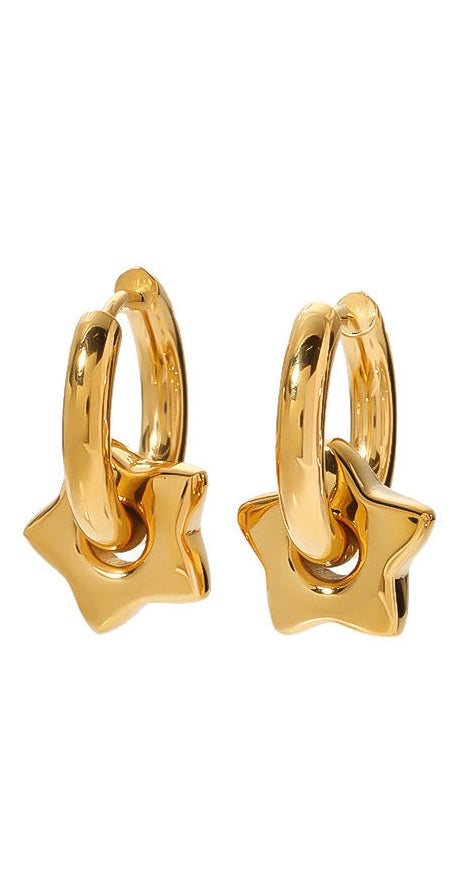 Gianna Stainless Steel Earrings
